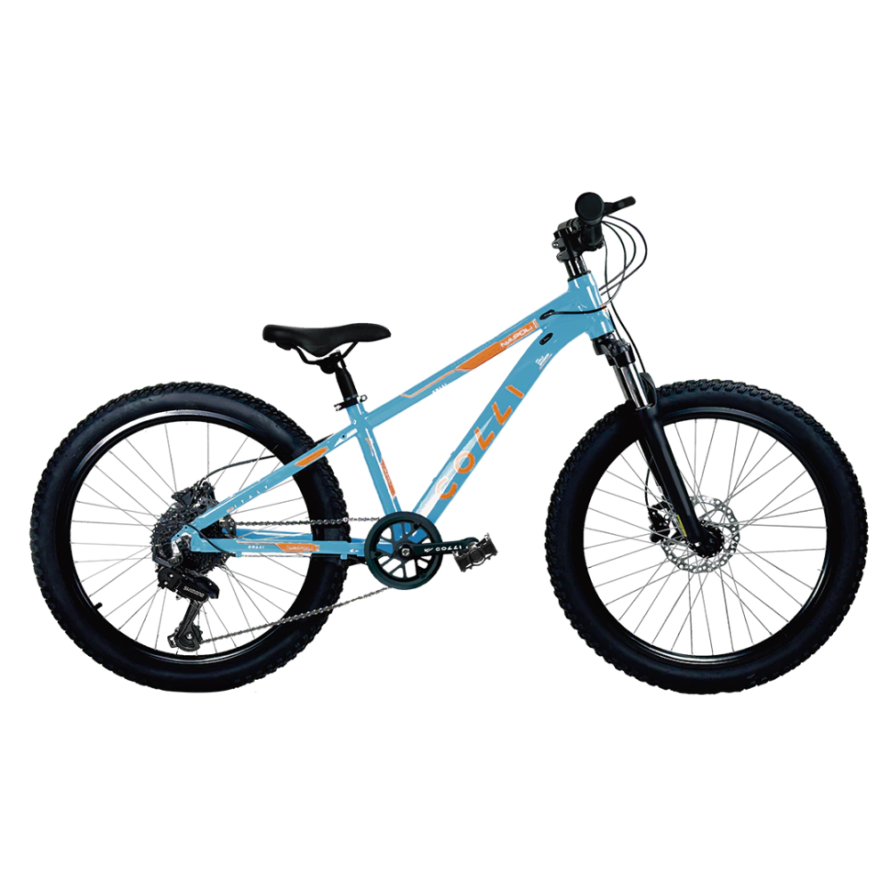 Bicicleta Colli Napoli Sport Aro 24 Aluminio 7v Azul Champanhe